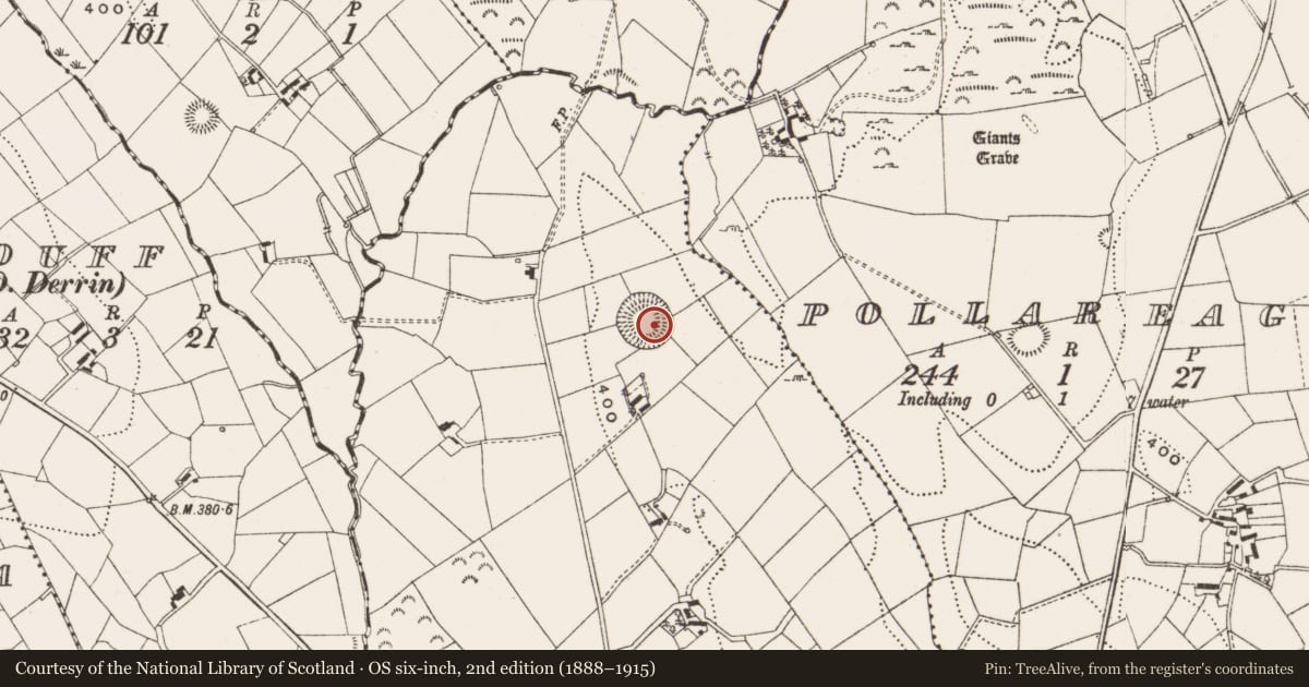 Ordnance Survey six-inch map, 2nd edition (1888–1915) covering the location of Souterrain, Drumloman, County Cavan, with a pin at the register's coordinates