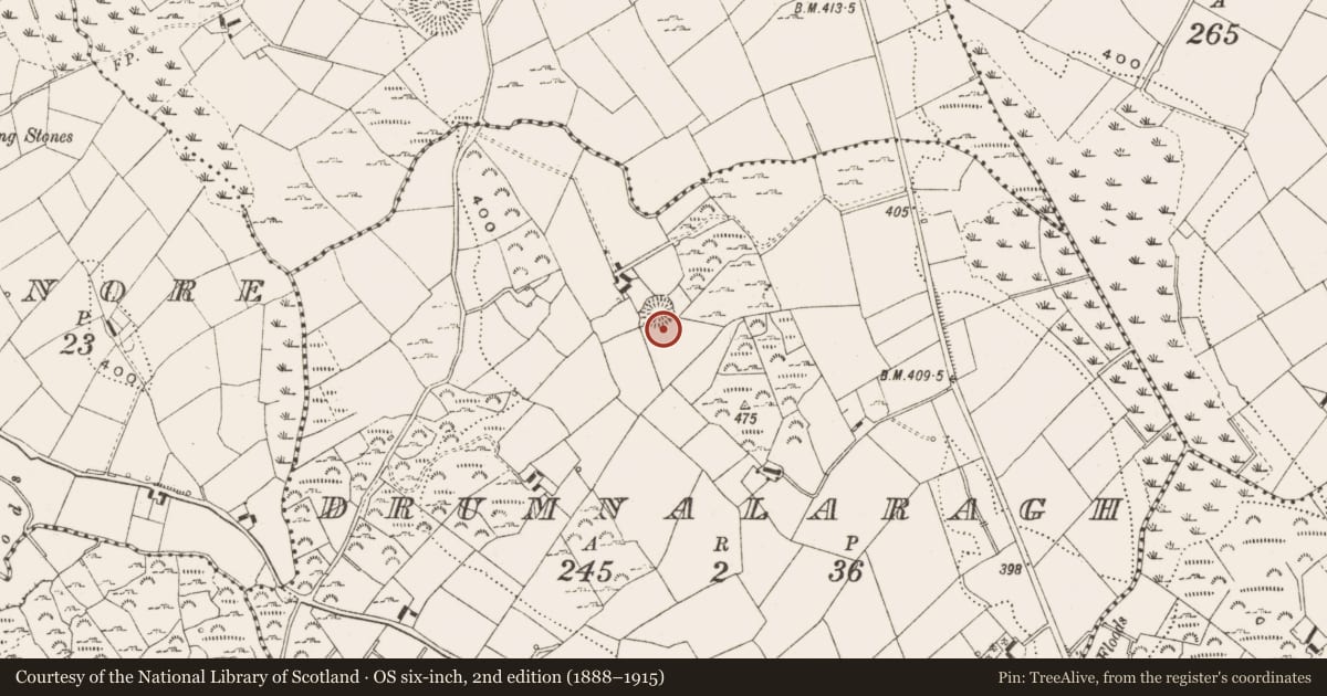 Ordnance Survey six-inch map, 2nd edition (1888–1915) covering the location of Ringfort - rath, Drumnalaragh, County Cavan, with a pin at the register's coordinates