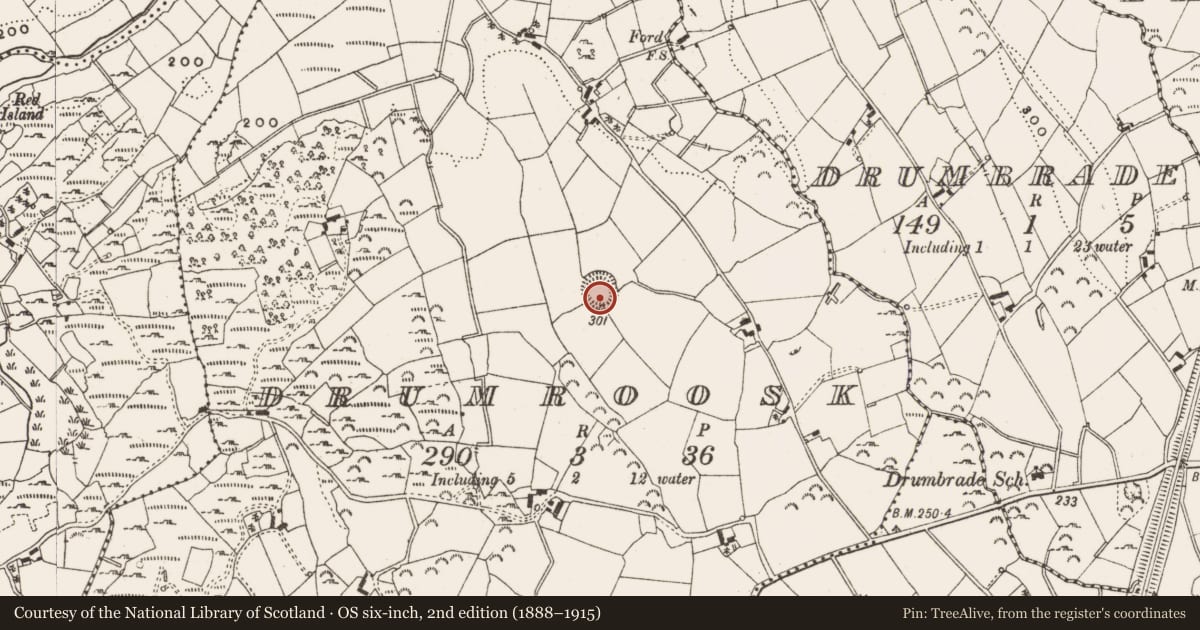 Ordnance Survey six-inch map, 2nd edition (1888–1915) covering the location of Ringfort - rath, Drumroosk, County Cavan, with a pin at the register's coordinates