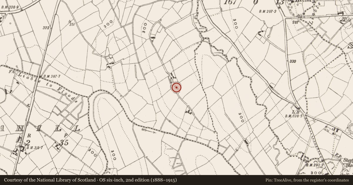 Ordnance Survey six-inch map, 2nd edition (1888–1915) covering the location of Ringfort - rath, Garrymore, County Cavan, with a pin at the register's coordinates