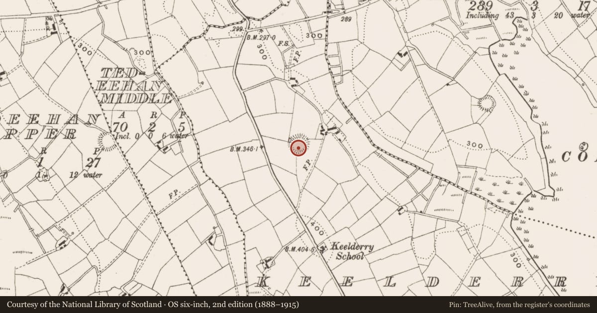 Ordnance Survey six-inch map, 2nd edition (1888–1915) covering the location of Ringfort - rath, Keelderry, County Cavan, with a pin at the register's coordinates