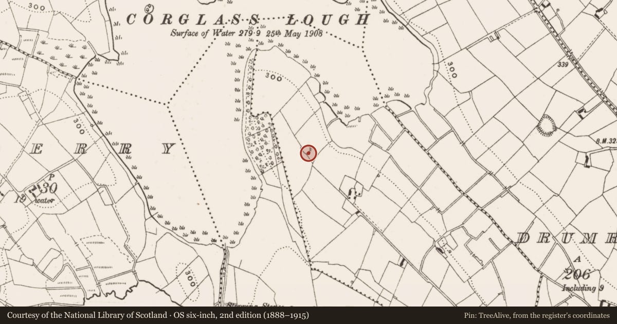 Ordnance Survey six-inch map, 2nd edition (1888–1915) covering the location of Ringfort - rath, Kill, County Cavan, with a pin at the register's coordinates