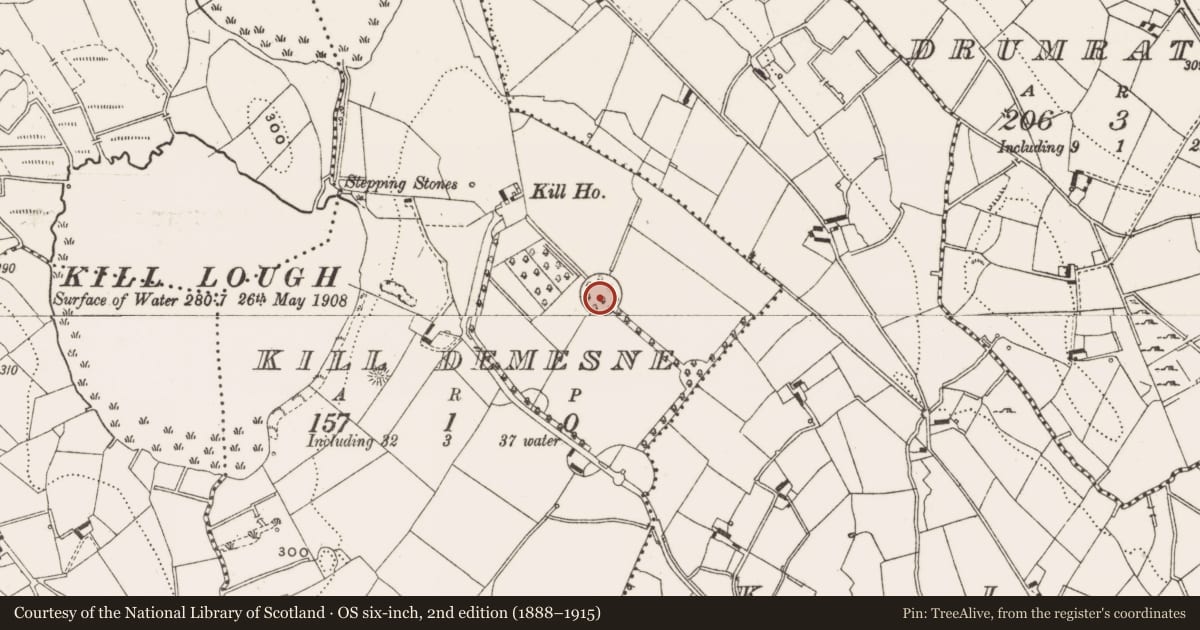 Ordnance Survey six-inch map, 2nd edition (1888–1915) covering the location of Designed landscape - tree-ring, Kill Demesne, County Cavan, with a pin at the register's coordinates