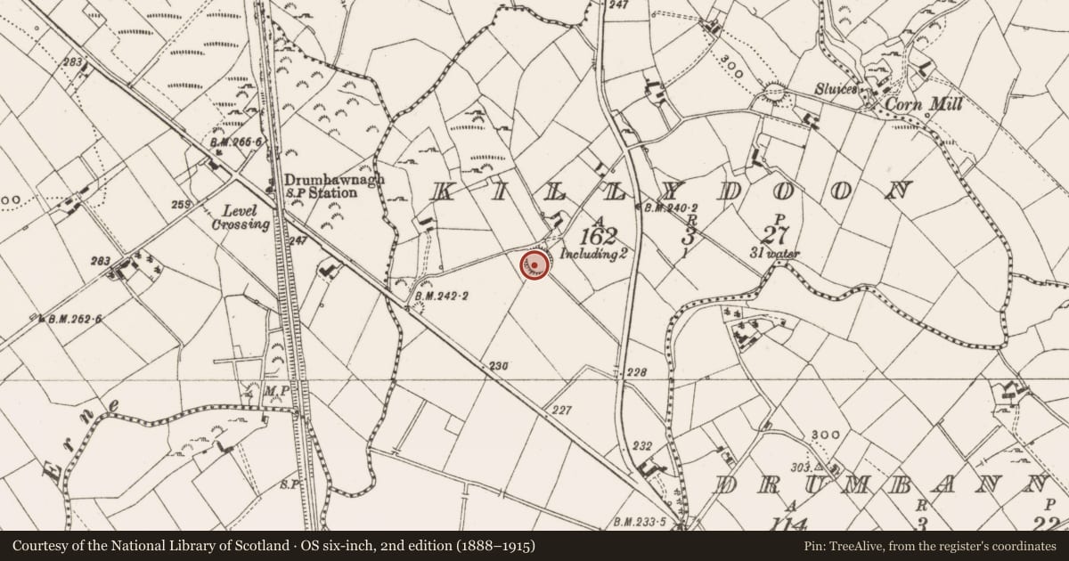 Ordnance Survey six-inch map, 2nd edition (1888–1915) covering the location of Ringfort - rath, Killydoon, County Cavan, with a pin at the register's coordinates