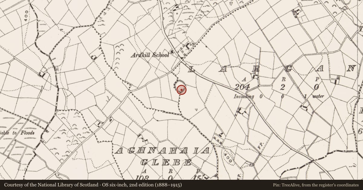 Ordnance Survey six-inch map, 2nd edition (1888–1915) covering the location of Ringfort - rath, Largan, County Cavan, with a pin at the register's coordinates
