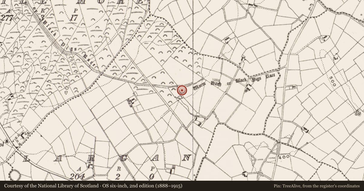 Ordnance Survey six-inch map, 2nd edition (1888–1915) covering the location of Ringfort - rath, Largan, County Cavan, with a pin at the register's coordinates