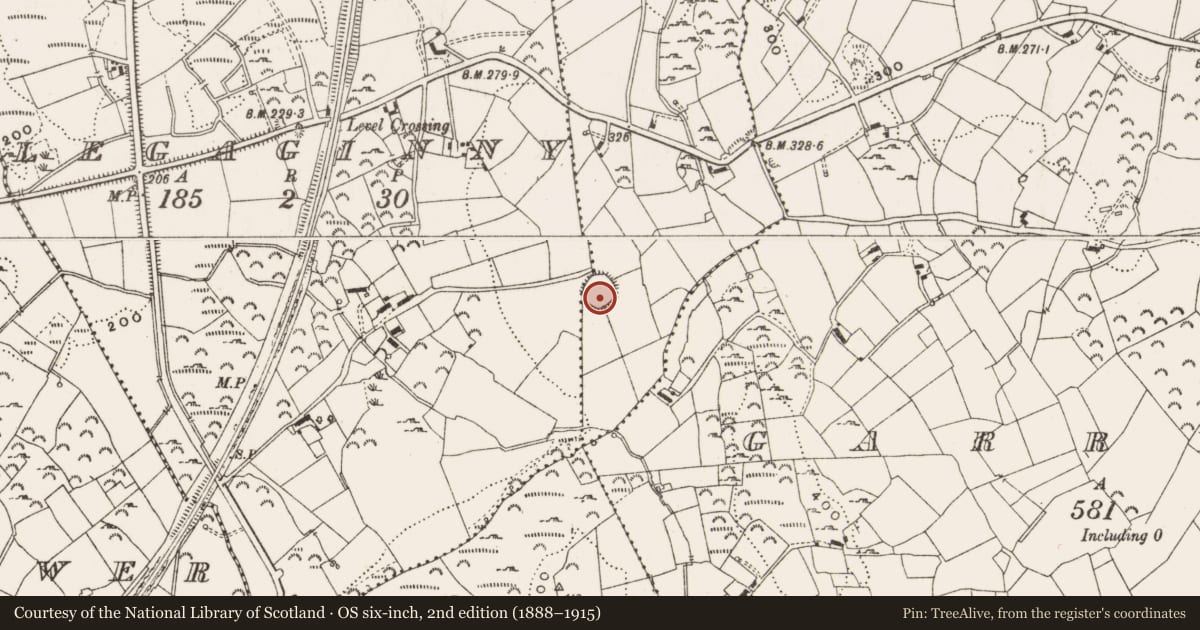 Ordnance Survey six-inch map, 2nd edition (1888–1915) covering the location of Ringfort - rath, Legaweel, County Cavan, with a pin at the register's coordinates