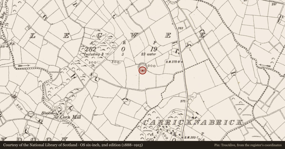 Ordnance Survey six-inch map, 2nd edition (1888–1915) covering the location of Ringfort - rath, Legwee, County Cavan, with a pin at the register's coordinates