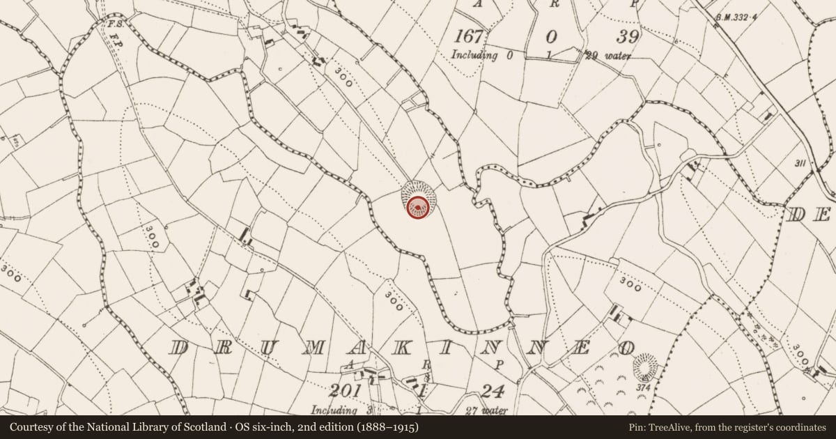 Ordnance Survey six-inch map, 2nd edition (1888–1915) covering the location of Ringfort - rath, Lisnananagh, County Cavan, with a pin at the register's coordinates