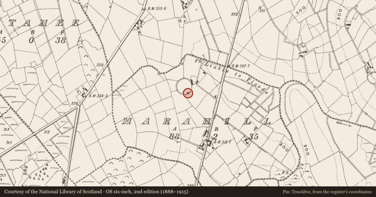 Ordnance Survey six-inch map, 2nd edition (1888–1915) covering the location of Ringfort - rath, Marahill, County Cavan, with a pin at the register's coordinates