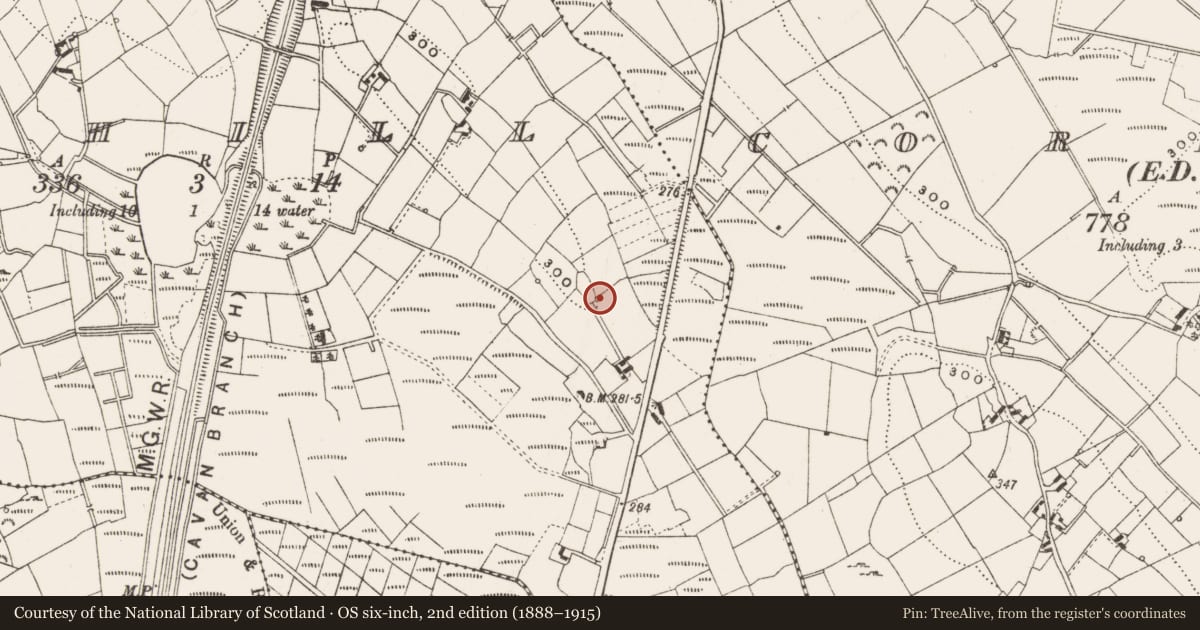 Ordnance Survey six-inch map, 2nd edition (1888–1915) covering the location of Enclosure, Oghill, County Cavan, with a pin at the register's coordinates