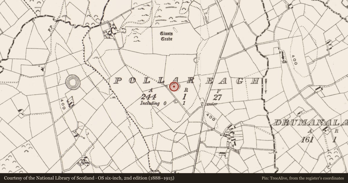 Ordnance Survey six-inch map, 2nd edition (1888–1915) covering the location of Ringfort - rath, Pollareagh, County Cavan, with a pin at the register's coordinates