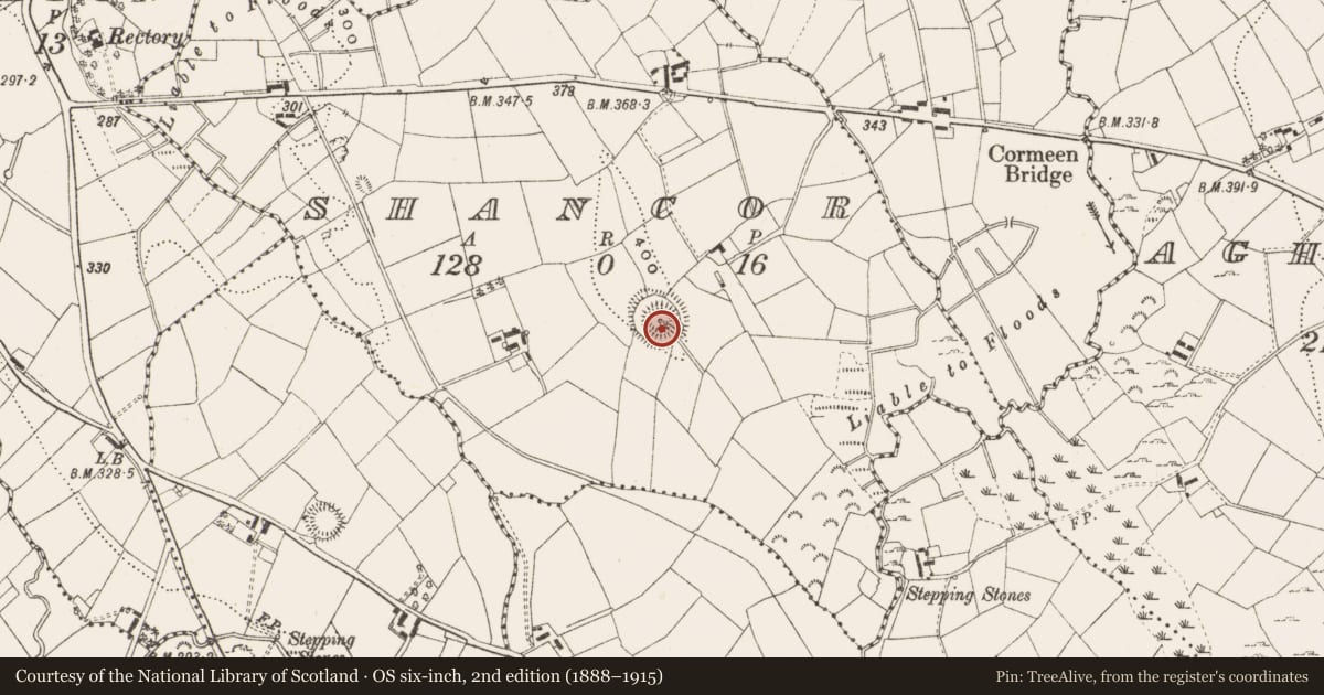 Ordnance Survey six-inch map, 2nd edition (1888–1915) covering the location of Ringfort - rath, Shancor, County Cavan, with a pin at the register's coordinates