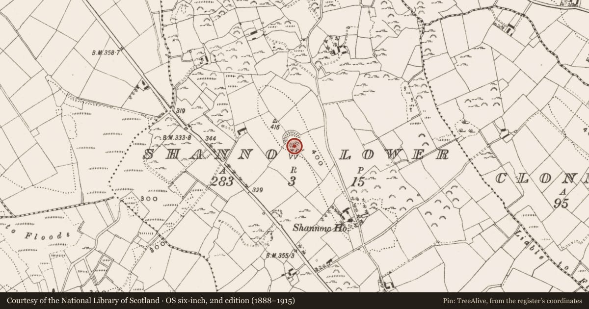 Ordnance Survey six-inch map, 2nd edition (1888–1915) covering the location of Ringfort - rath, Shannow Lower, County Cavan, with a pin at the register's coordinates