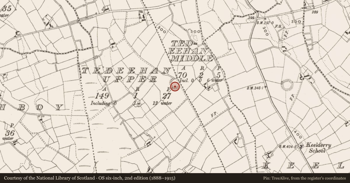 Ordnance Survey six-inch map, 2nd edition (1888–1915) covering the location of Ringfort - rath, Tedeehan Upper, County Cavan, with a pin at the register's coordinates