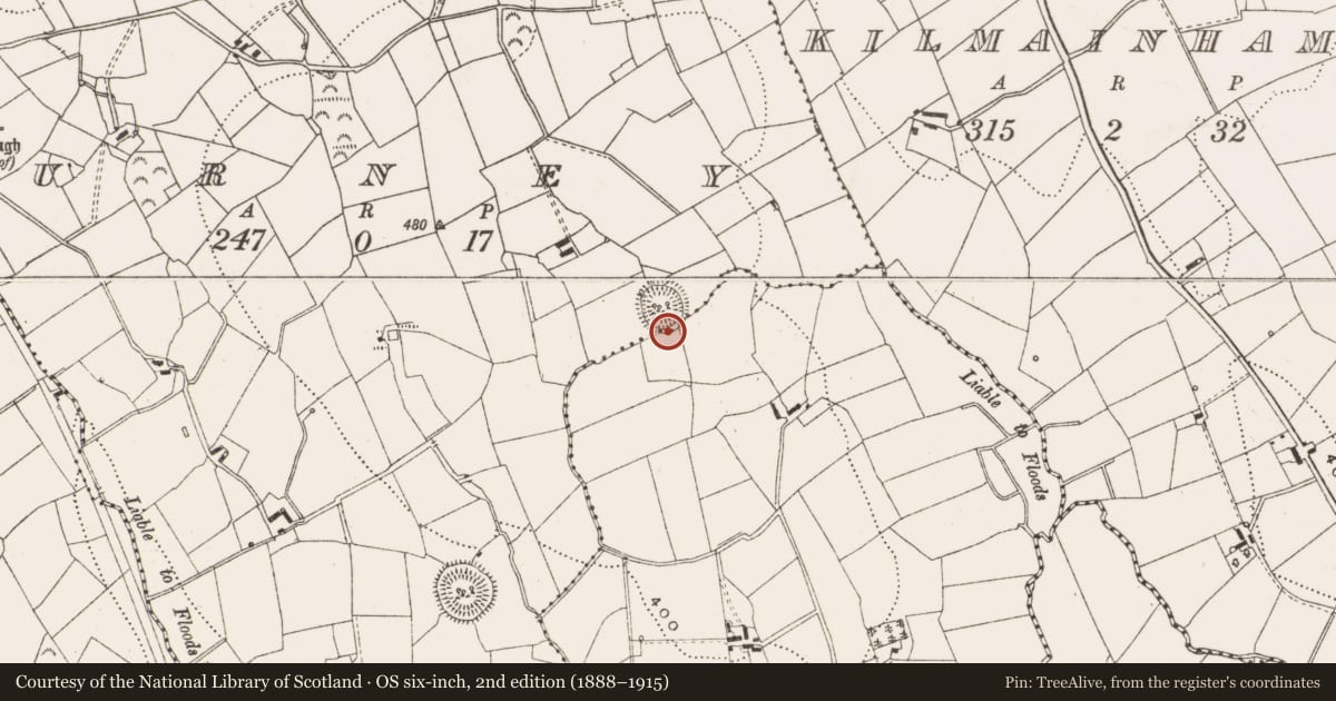 Ordnance Survey six-inch map, 2nd edition (1888–1915) covering the location of Ringfort - rath, Urney, County Cavan, with a pin at the register's coordinates