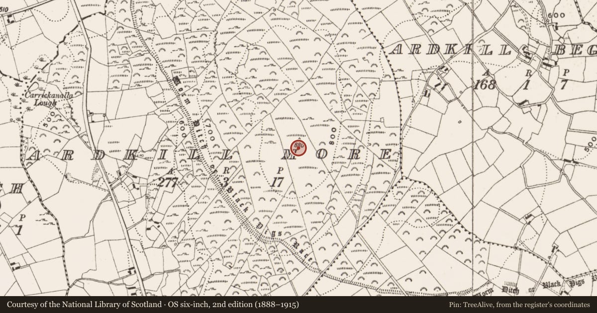 Ordnance Survey six-inch map, 2nd edition (1888–1915) covering the location of Enclosure, Ardkill More, County Cavan, with a pin at the register's coordinates