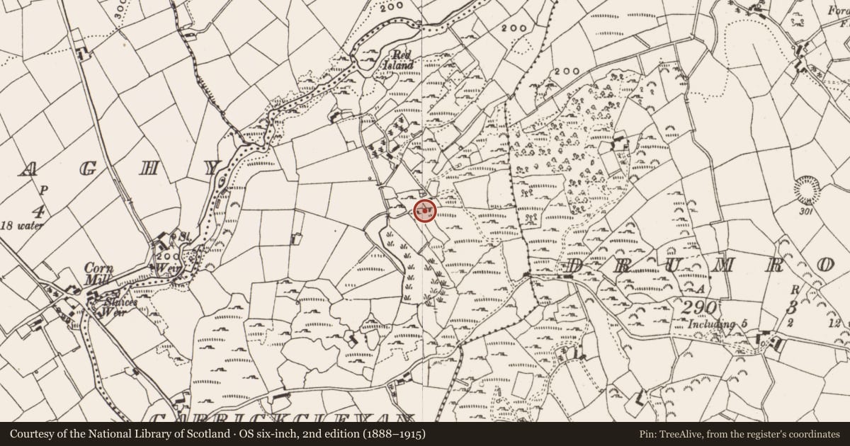 Ordnance Survey six-inch map, 2nd edition (1888–1915) covering the location of Megalithic structure, Carrickclevan, County Cavan, with a pin at the register's coordinates