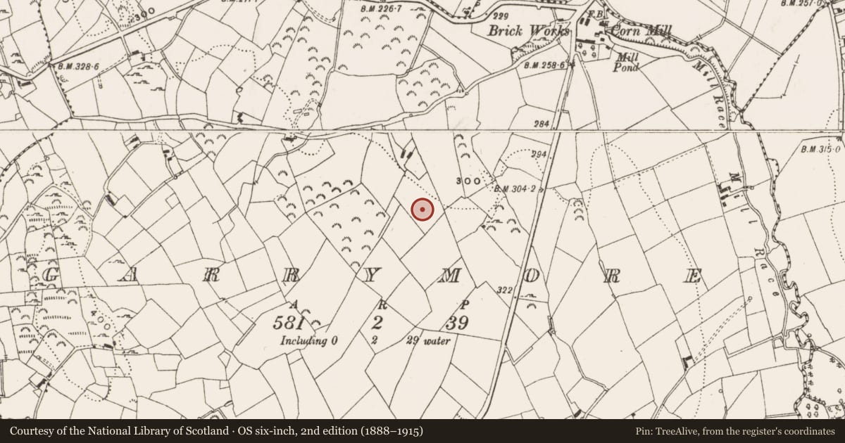 Ordnance Survey six-inch map, 2nd edition (1888–1915) covering the location of Enclosure, Garrymore, County Cavan, with a pin at the register's coordinates