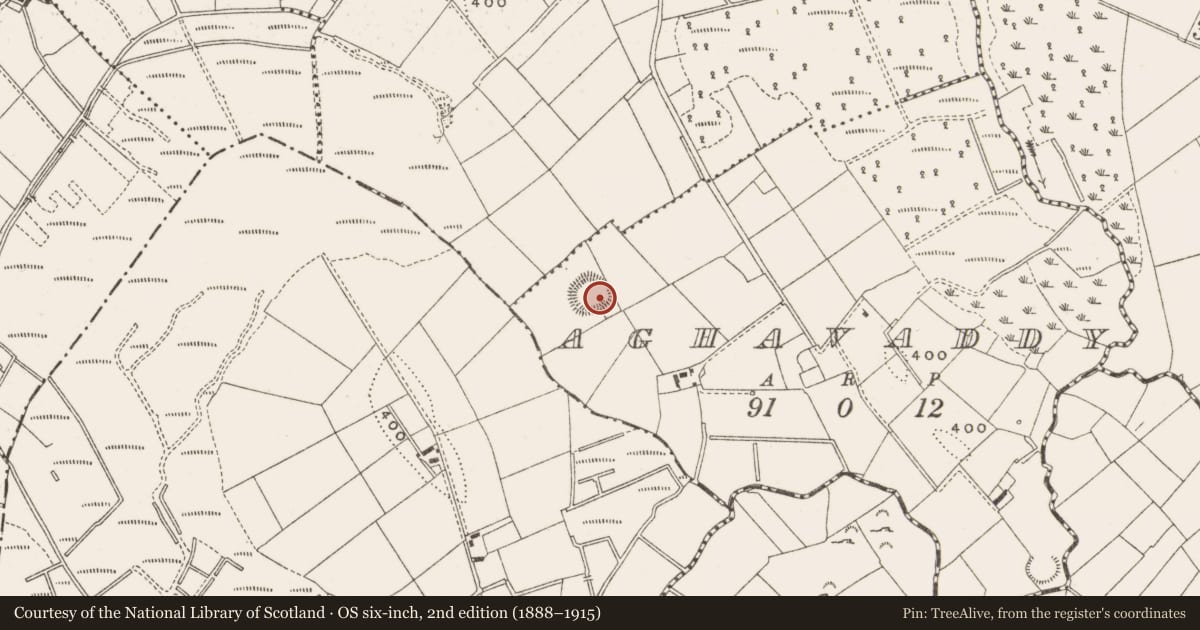 Ordnance Survey six-inch map, 2nd edition (1888–1915) covering the location of Ringfort - rath, Aghavaddy, County Cavan, with a pin at the register's coordinates