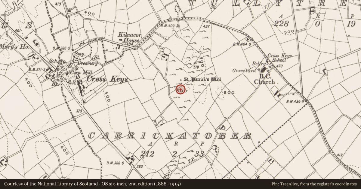 Ordnance Survey six-inch map, 2nd edition (1888–1915) covering the location of Ritual site - holy/saint's stone, Carrickatober, County Cavan, with a pin at the register's coordinates
