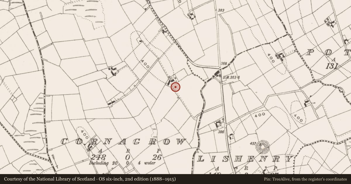 Ordnance Survey six-inch map, 2nd edition (1888–1915) covering the location of Ringfort - rath, Cornagrow, County Cavan, with a pin at the register's coordinates