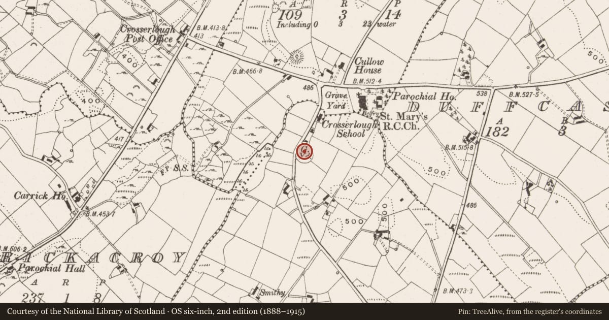 Ordnance Survey six-inch map, 2nd edition (1888–1915) covering the location of Church, Crosserlough, County Cavan, with a pin at the register's coordinates