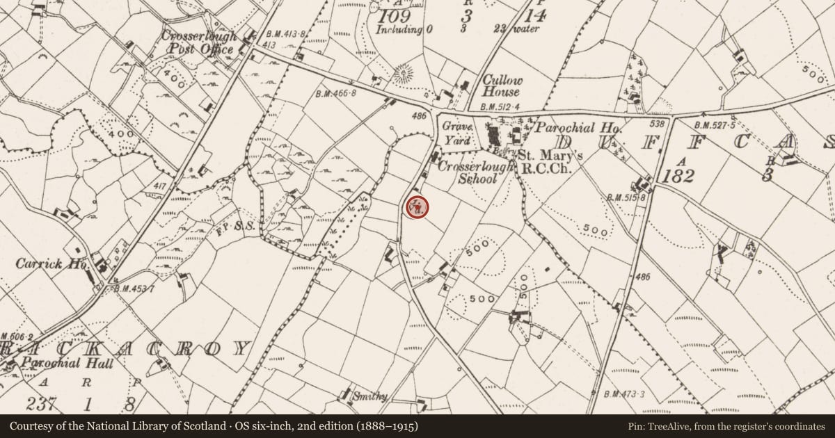 Ordnance Survey six-inch map, 2nd edition (1888–1915) covering the location of Graveyard, Crosserlough, County Cavan, with a pin at the register's coordinates