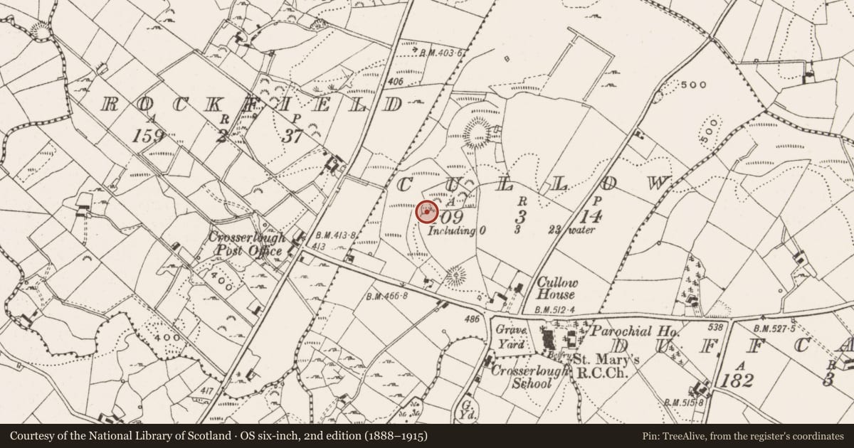 Ordnance Survey six-inch map, 2nd edition (1888–1915) covering the location of Enclosure, Cullow, County Cavan, with a pin at the register's coordinates