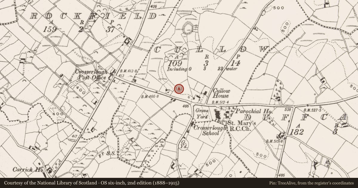 Ordnance Survey six-inch map, 2nd edition (1888–1915) covering the location of Ringfort - rath, Cullow, County Cavan, with a pin at the register's coordinates