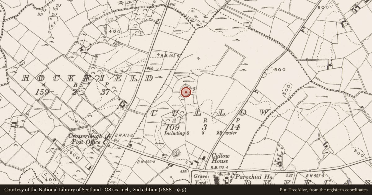 Ordnance Survey six-inch map, 2nd edition (1888–1915) covering the location of Ringfort - rath, Cullow, County Cavan, with a pin at the register's coordinates