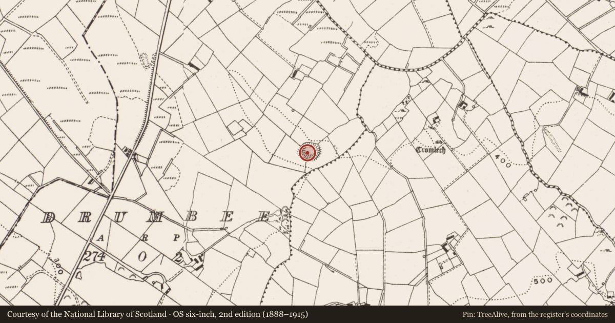 Ordnance Survey six-inch map, 2nd edition (1888–1915) covering the location of Ringfort - rath, Drumbee, County Cavan, with a pin at the register's coordinates