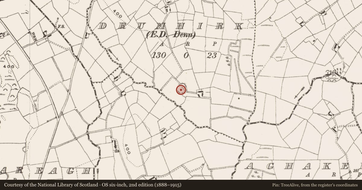Ordnance Survey six-inch map, 2nd edition (1888–1915) covering the location of Ringfort - rath, Drumhirk, County Cavan, with a pin at the register's coordinates