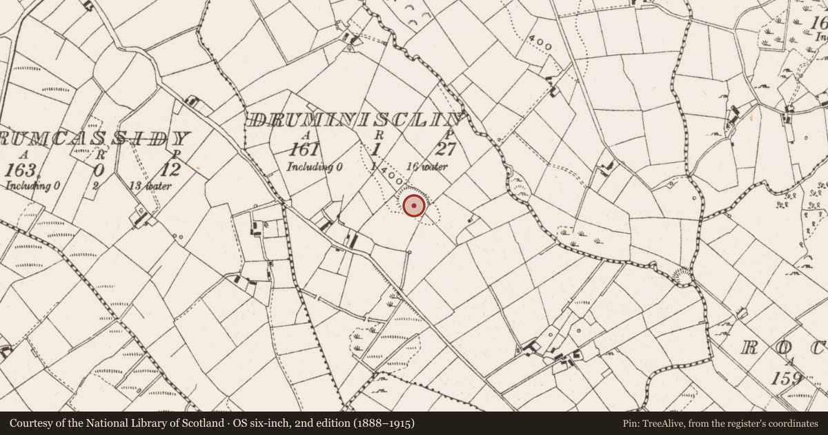 Ordnance Survey six-inch map, 2nd edition (1888–1915) covering the location of Ringfort - rath, Druminisclin, County Cavan, with a pin at the register's coordinates