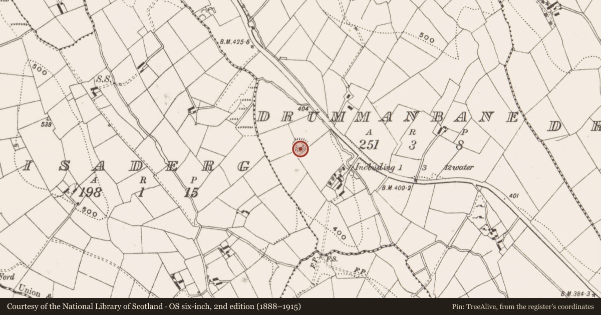 Ordnance Survey six-inch map, 2nd edition (1888–1915) covering the location of Ringfort - rath, Drummanbane, County Cavan, with a pin at the register's coordinates