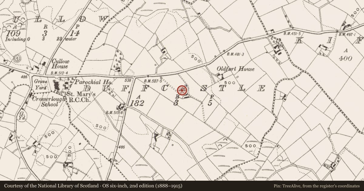 Ordnance Survey six-inch map, 2nd edition (1888–1915) covering the location of Megalithic tomb - portal tomb, Duffcastle, County Cavan, with a pin at the register's coordinates