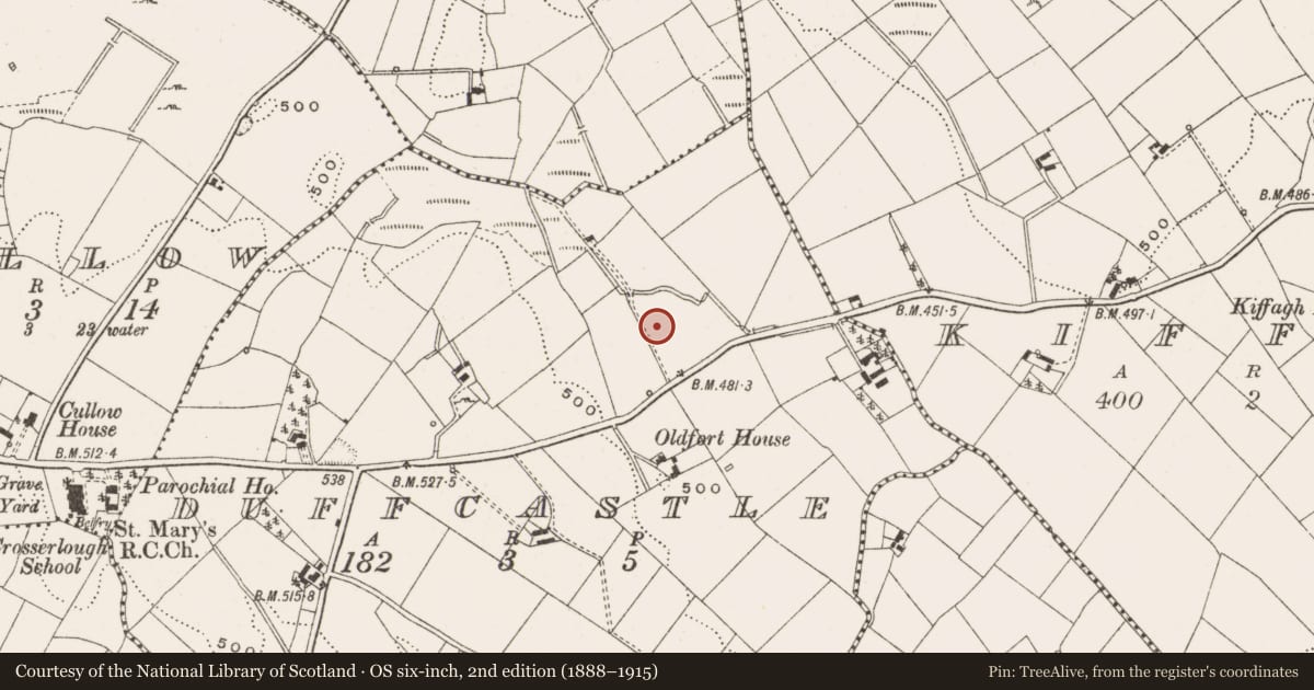 Ordnance Survey six-inch map, 2nd edition (1888–1915) covering the location of Bawn, Duffcastle, County Cavan, with a pin at the register's coordinates