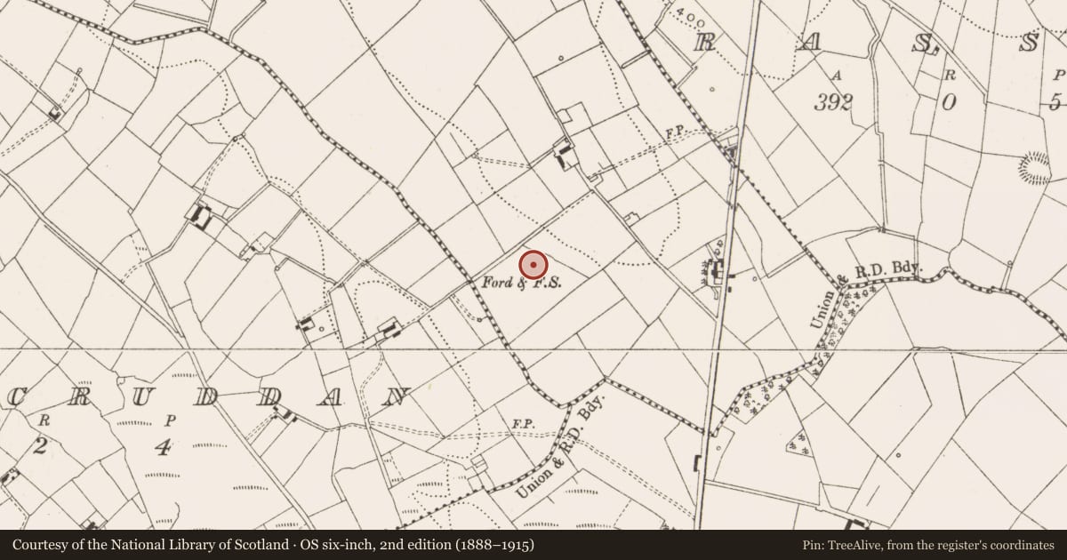 Ordnance Survey six-inch map, 2nd edition (1888–1915) covering the location of Enclosure, Kiffagh, County Cavan, with a pin at the register's coordinates