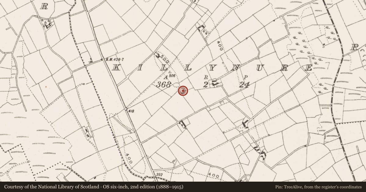 Ordnance Survey six-inch map, 2nd edition (1888–1915) covering the location of Ringfort - rath, Killynure, County Cavan, with a pin at the register's coordinates