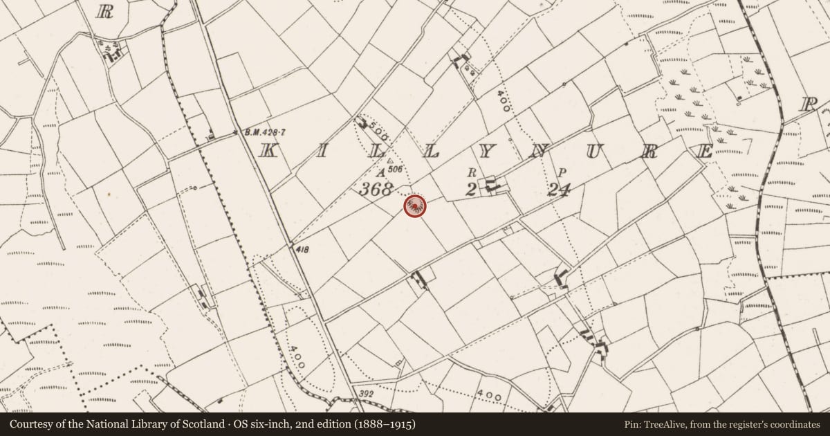 Ordnance Survey six-inch map, 2nd edition (1888–1915) covering the location of Souterrain, Killynure, County Cavan, with a pin at the register's coordinates