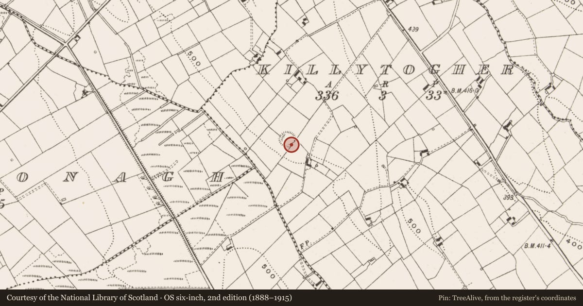 Ordnance Survey six-inch map, 2nd edition (1888–1915) covering the location of Ringfort - rath, Killytogher, County Cavan, with a pin at the register's coordinates