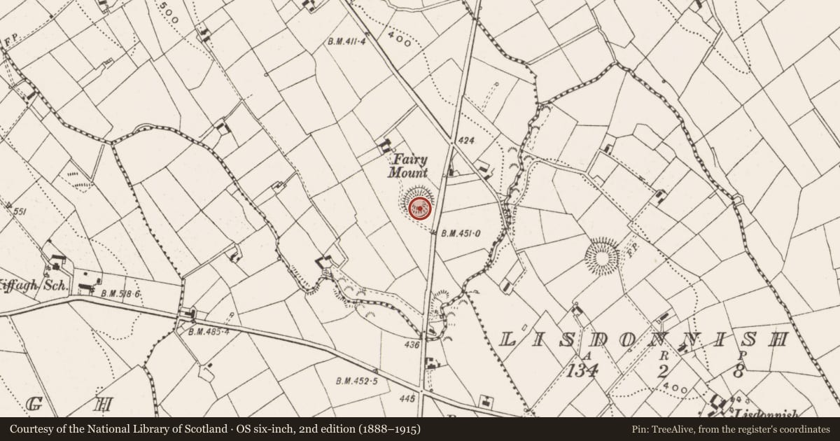 Ordnance Survey six-inch map, 2nd edition (1888–1915) covering the location of Ringfort - rath, Killytogher, County Cavan, with a pin at the register's coordinates
