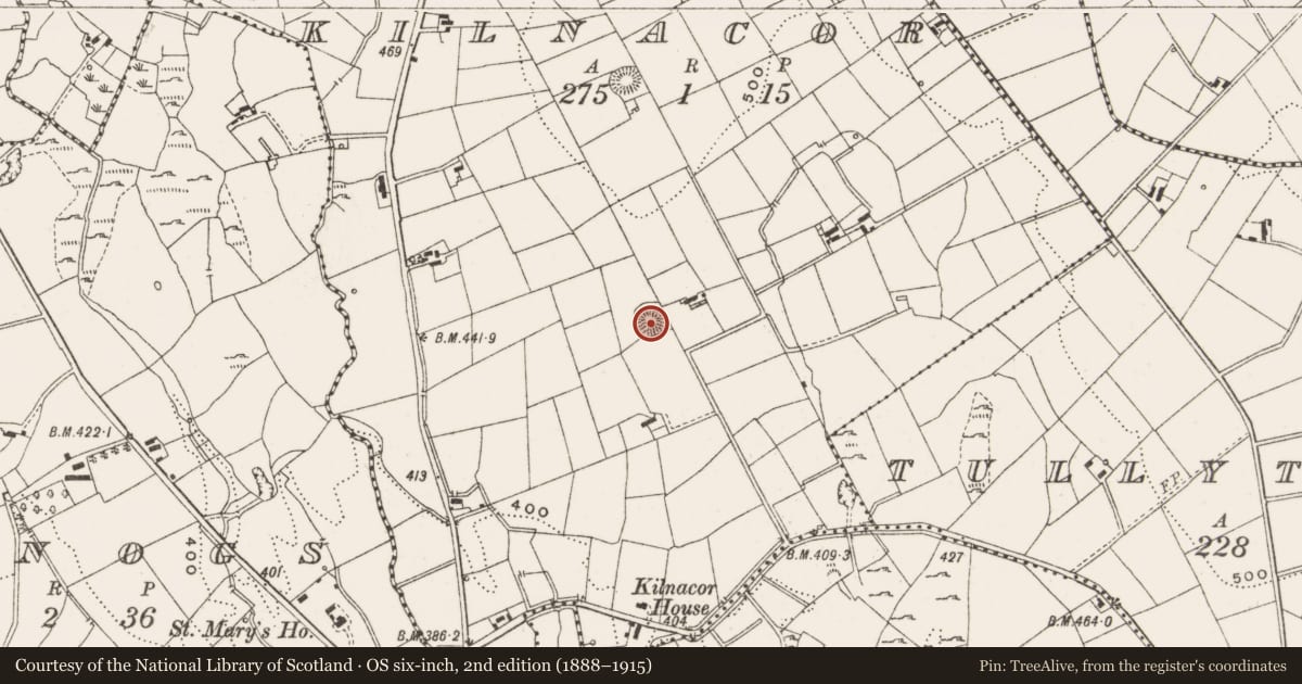 Ordnance Survey six-inch map, 2nd edition (1888–1915) covering the location of Ringfort - rath, Kilnacor, County Cavan, with a pin at the register's coordinates