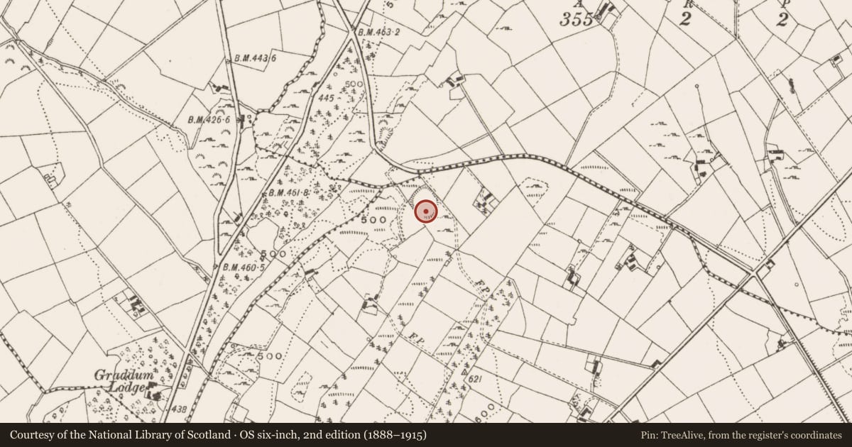 Ordnance Survey six-inch map, 2nd edition (1888–1915) covering the location of Ringfort - rath, Latnadronagh, County Cavan, with a pin at the register's coordinates