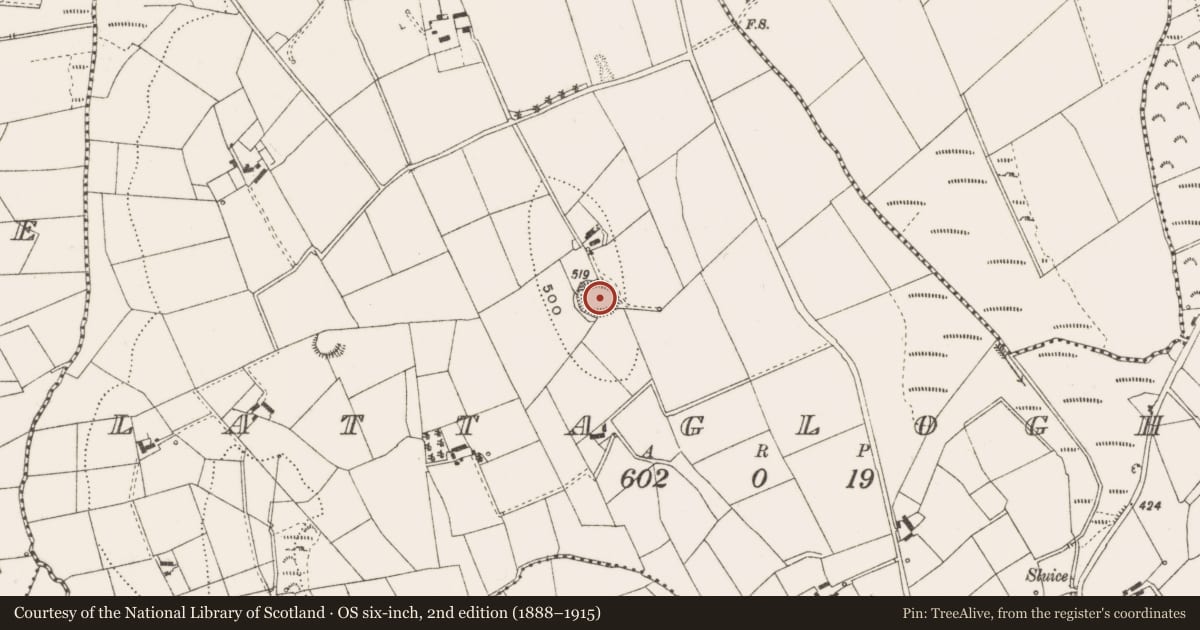 Ordnance Survey six-inch map, 2nd edition (1888–1915) covering the location of Ringfort - rath, Lattagloghan, County Cavan, with a pin at the register's coordinates