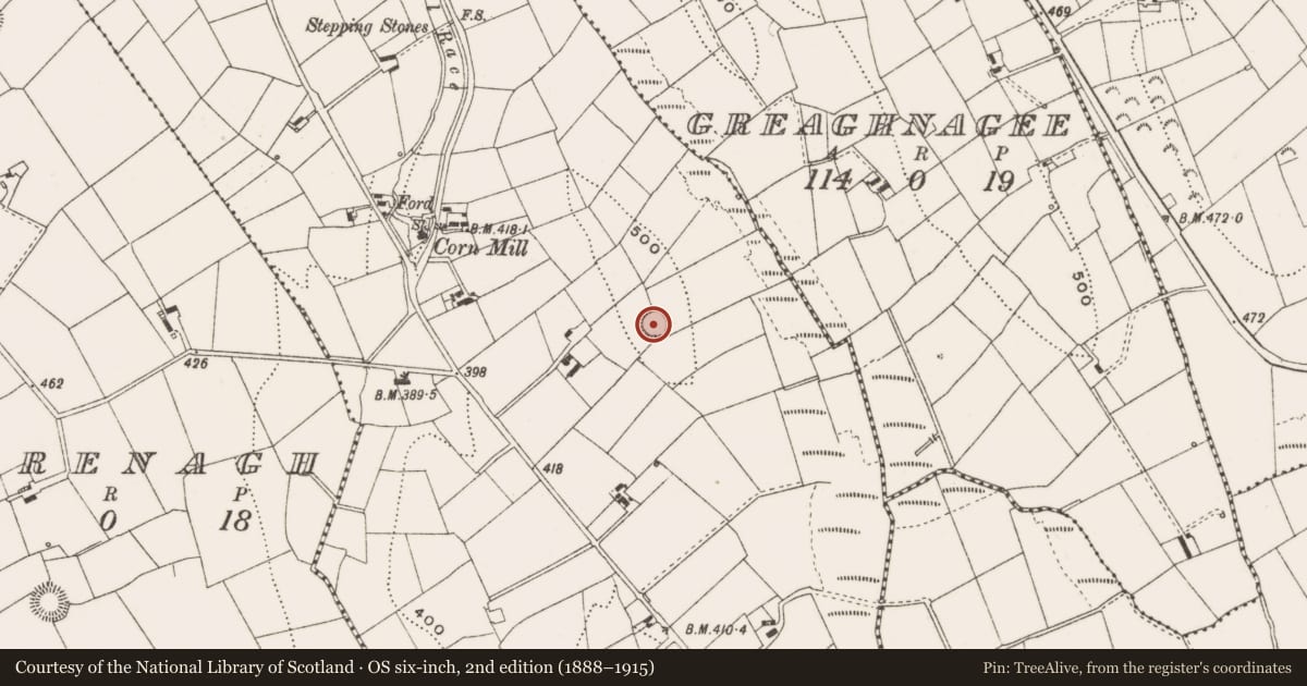 Ordnance Survey six-inch map, 2nd edition (1888–1915) covering the location of Ringfort - rath, Lattagloghan, County Cavan, with a pin at the register's coordinates