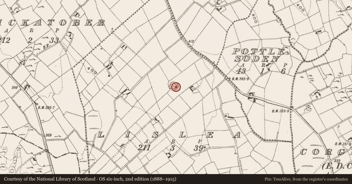 Ordnance Survey six-inch map, 2nd edition (1888–1915) covering the location of Ringfort - rath, Lislea, County Cavan, with a pin at the register's coordinates