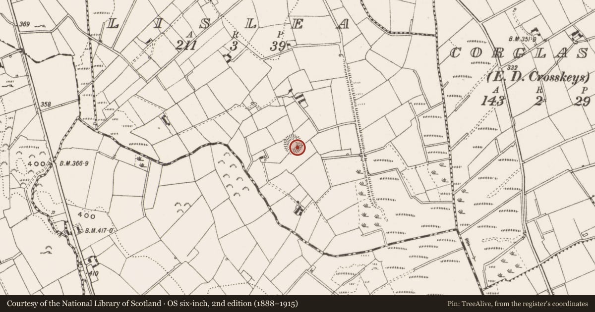 Ordnance Survey six-inch map, 2nd edition (1888–1915) covering the location of Ringfort - rath, Lislea, County Cavan, with a pin at the register's coordinates