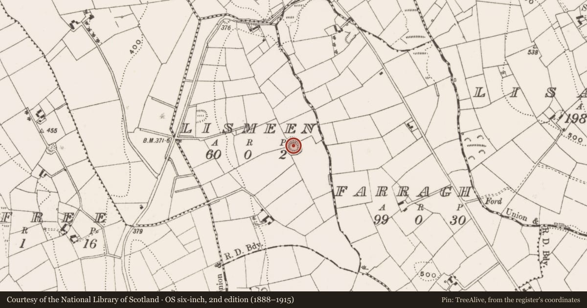 Ordnance Survey six-inch map, 2nd edition (1888–1915) covering the location of Ringfort - rath, Lismeen, County Cavan, with a pin at the register's coordinates