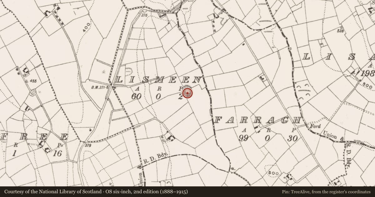 Ordnance Survey six-inch map, 2nd edition (1888–1915) covering the location of Souterrain, Lismeen, County Cavan, with a pin at the register's coordinates